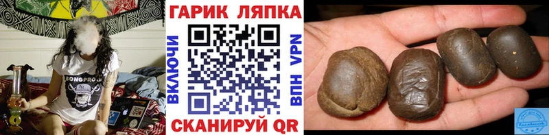 ГАШ Premium Покровск