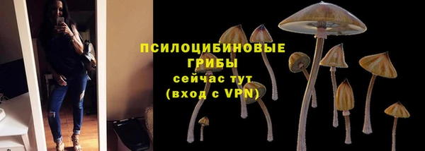дмт Баксан