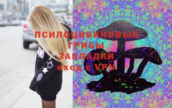 эйфоретик Пестово