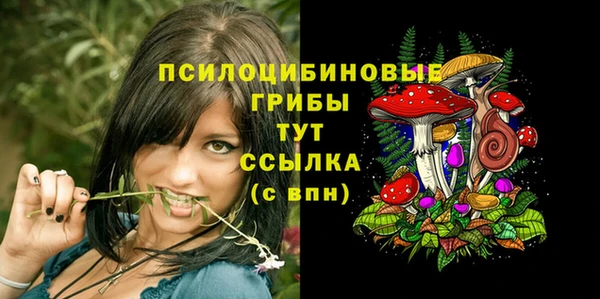 соль курить ск Балабаново